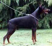 Ertog Erphun Von R&auml;uberstolz